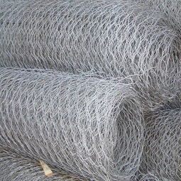 专业生产格宾石笼网 加筋格宾网 包塑石笼网